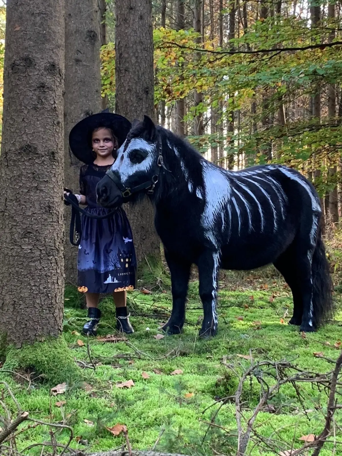 "Gruselpony im Wald" "Gruselpony" im Wald