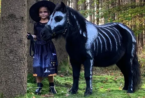 "Gruselpony" im Wald